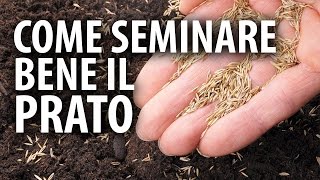 Come Seminare Bene il Prato [upl. by Anaujik581]