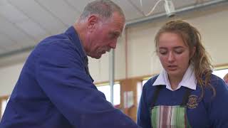 Wairarapa College l Wairarapa l Storyboard Video [upl. by Alrak630]