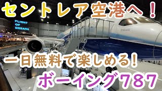 【愛知】おすすめ！セントレア空港で一日遊べる！ジェット機体験見学♪ショッピングもグルメもイケるよ！ [upl. by Yrred]