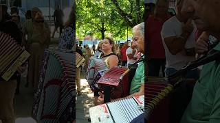 🇵🇹🪗 Roda concertinas arcosdevaldevez minho portugal folclore folk folklore folkdance [upl. by Alurd868]