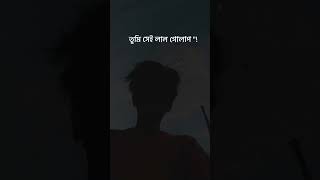 Srotoshini Lyrics Lofi 🖤🦋  ENCORE  Lyrics  স্রোতস্বিনী ✨ fypシ lyrics music hitsong [upl. by Sessler]