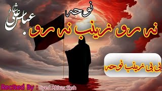 Na Ro Zainab Na Ro Mere Jigar K Tukre Na Ro Old Noha with Lyrics Recited By Syed Abbas Shah [upl. by Teerprah]