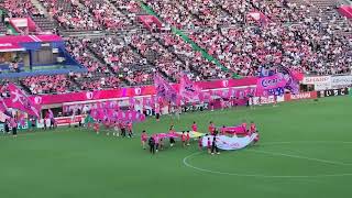 Cerezo Osaka vs Machida Zelvia Lineup Announcements [upl. by Ynaffital331]