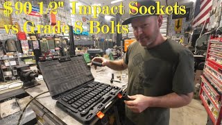 Vevor 65 Piece Impact Socket set Review Sockets VS Grade 8 Bolts Cheap Tool Testing [upl. by Eidnak]