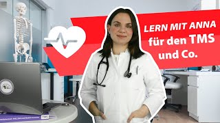 TMS  Der Medizinertest  Lern mit Anna 2024 tms medizin medizinstudium lernen [upl. by Ordnasela]