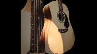 Maton EM225mov [upl. by Ahsimik678]