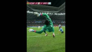 Impossible Goalkeeper Saves [upl. by Lacey]