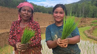 Aajko ropai diwsoma vanda ni ratima ramailosiruthapamagar villagelife vlog [upl. by Chiarra]