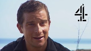 Bear Grylls Talks about The Island  The Island with Bear Grylls [upl. by Rehsa]