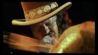 Zucchero Live In Italy  E Delicato [upl. by Kettie28]