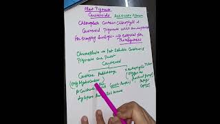 Plant pigments carotenoidscariotene xanthophyll class11 Neetstudy [upl. by Etti]