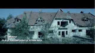 Cosy  O sami mearga struna Official Video 2013 [upl. by Avlasor]