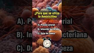 Para que sirve la Amoxicilina quiz sabiasque salud medicina farmacia medicamentos [upl. by Olivero]