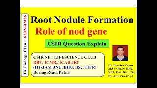 Root Nodule Formation  Role of nod Gene CSIRNET GATE ICMR IITJAM ICAR MSC BSC [upl. by Alyar]