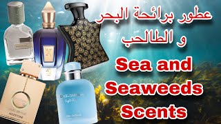 ٥ عطور بحرية مالحة لازم تجربها 5 Must Try Salty Marine Perfumes [upl. by Anilef]