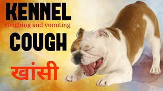 Understanding Kennel Cough Symptoms Treatment and Prevention [upl. by Graves213]