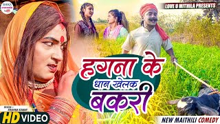 हगना के धान खेलक कलकतिया वाली के बकरी  maithili comedy 2023 [upl. by Vachill]