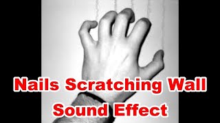 Nails Scratching Wall Noises Sounds  Film amp Sound Effects [upl. by Manvel]