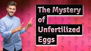 Why do chicken lay unfertilized eggs [upl. by Aihtnys117]