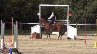 DM 2014 Neu Anspach Working Equitation Thomas Türmer Speed [upl. by Ahsiena3]