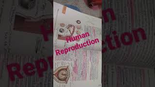 chapter 12 human reproduction class 12 [upl. by Avigdor]