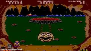 Hole Land 1984 Tecfri Mame Retro Arcade Games [upl. by Ilohcin]