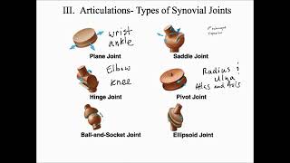 Synovial joint biology anatomy class education learnwithangel types of synovial joint [upl. by Eliot]