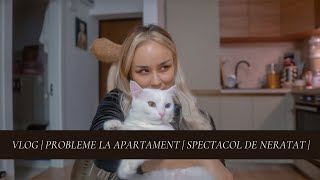 VLOG  Ce probleme am avut la apartament  Spectacol de neratat [upl. by Greg]