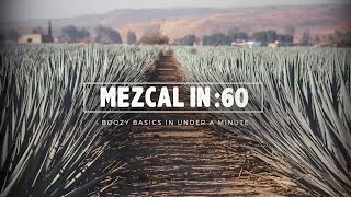 Mezcal in 60  Liquorcom [upl. by Ysnap203]