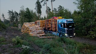 Simple reversing Loading birch pine and spruce pulpwood [upl. by Gatias]