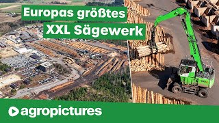 Größtes Sägewerk Europas – Ziegler Group  SENNEBOGEN 735E Pick amp Carry Umschlagbagger  Holz Doku [upl. by Golightly]