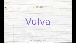 How to pronounce vulva [upl. by Ateuqirne]