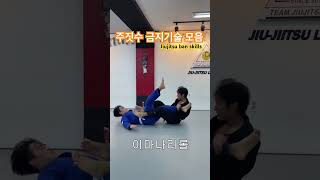 주짓수 금지기술들 모음jiujitsu ban skills [upl. by Crane141]