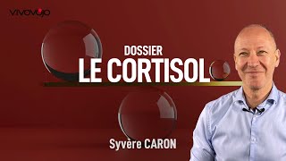 Limpact du cortisol sur votre vie  Sylvère CARON [upl. by Ahseikan85]