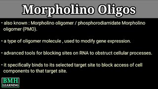 Morpholino Oligos  What Are Morpholinos [upl. by Aika]