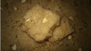 Nariyal Chakki Recipe  Ganesh Chaturthi Special Coconut Fudge Recipe [upl. by Nodnalb]