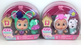 Cry Babies Series 2 Stars Talent Magic Tears Mini Dolls Lala amp Dottie ✨ Unboxing amp Review [upl. by Rednijar]