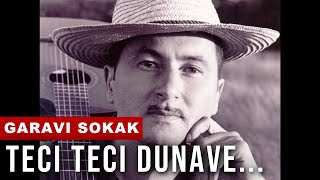 Garavi Sokak  Teci Teci Dunave  Official audio HD [upl. by Abihsat]