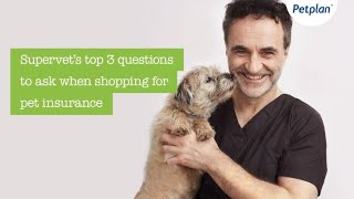 Supervet Noel Fitzpatrick  3 Key Insurance Questions to ask [upl. by Betta]