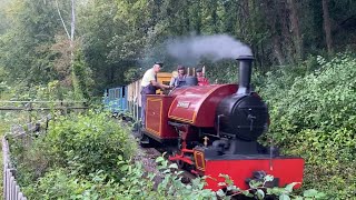 AMBERLEY CHALK PITS TRAIN RIDE 10923 [upl. by Refinej]