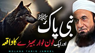 Nabi SAW ki Mohabbat Aik Bherdia Ka Waqia 2024  Maulana Tariq Jameel [upl. by Disraeli]