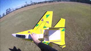 Su30 Scratch Built RC plane Parkjet [upl. by Rotciv301]