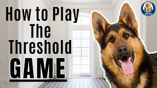 Threshold Game For Dogs Step By Step Training Plan So You Become Your Dogs Center Of Attention [upl. by Wedurn]