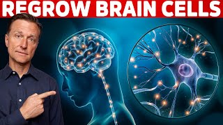 Renew amp Protect Your Brain Cells  Brain Derived Neurotrophic Factor – Dr Berg [upl. by Gurevich322]