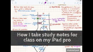 How I take studynotes in Notability on my iPad pro Paperless Student [upl. by Body]