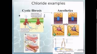 Pathophysiology 10 Electrolyte imbalace [upl. by Mojgan630]