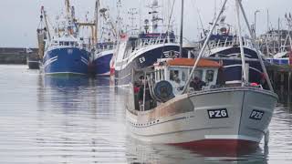 Early morning inshore boat action in Newlyn [upl. by Demha598]