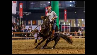 Horacio Casin Jinete de Freno de Oro Caballos Criollos 20142018 [upl. by Howlan]