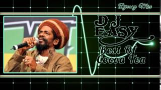 Cocoa Tea Best of The Best Greatest Hits mix by djeasy [upl. by Ewolram]