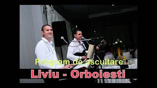 Cinea pus carciuman drumProgram de ascultareLiviu de la Orboiesti melodii vechi [upl. by Ayihsa958]